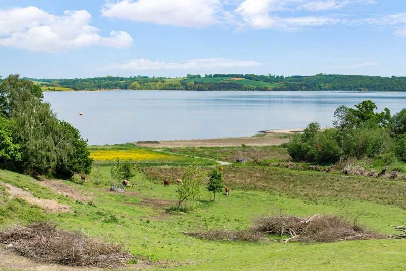 Property image number 11