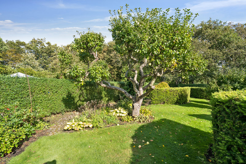 Property image number 3