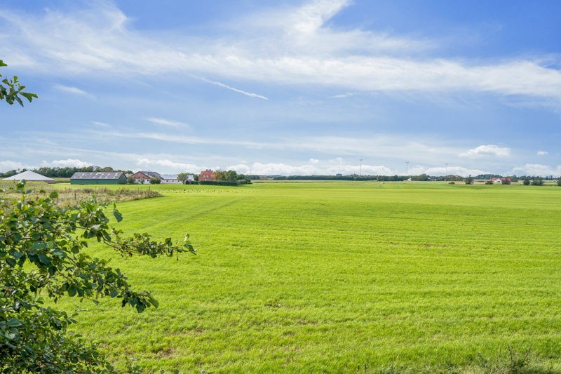 Property image number 5