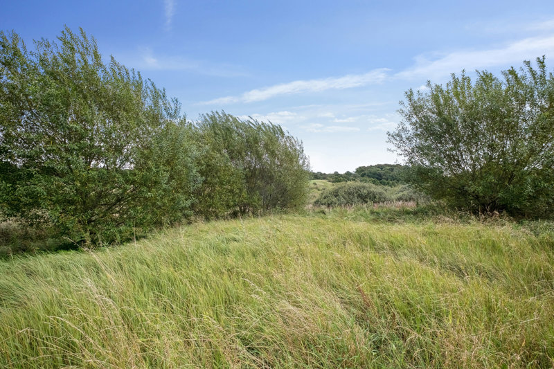 Property image number 5