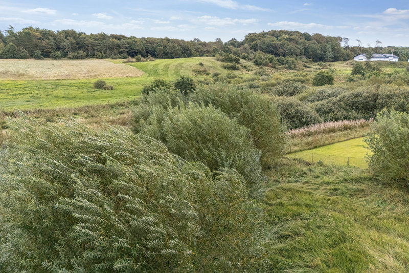 Property image number 7