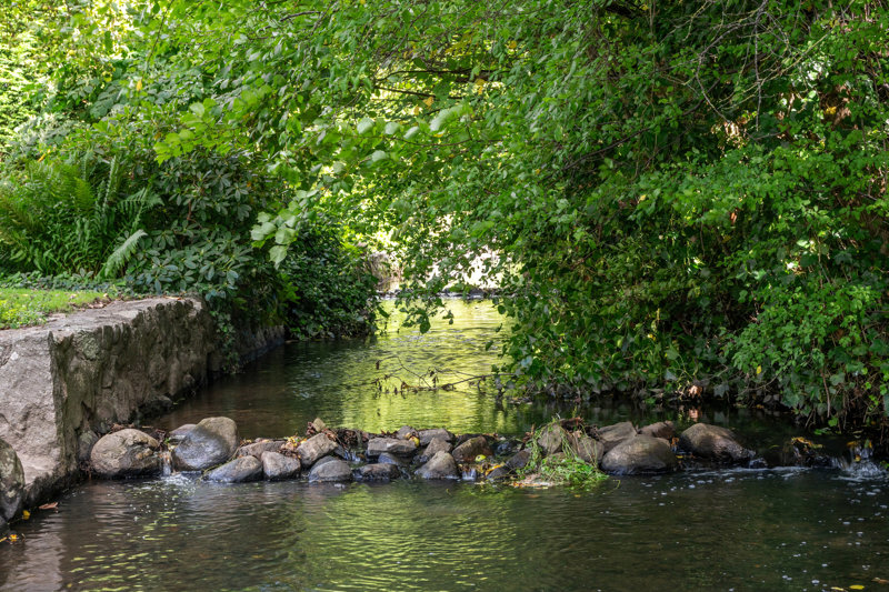 Property image number 4