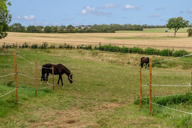 Property image number 5