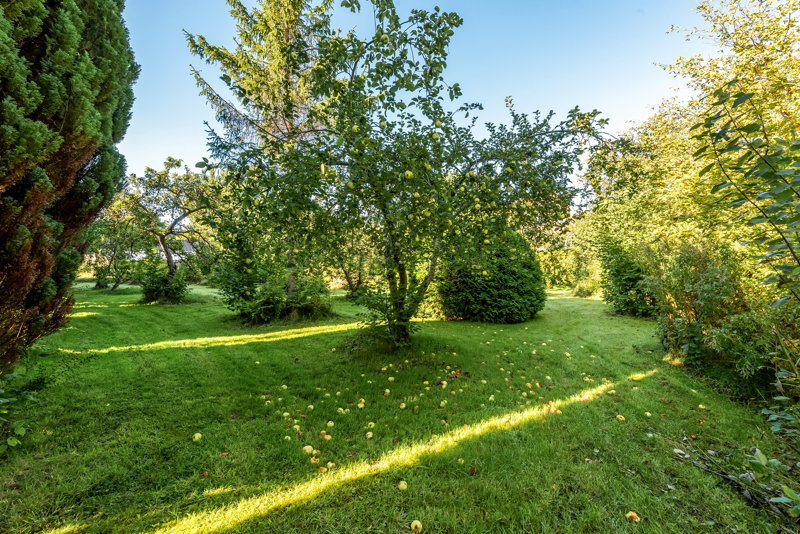 Property image number 5