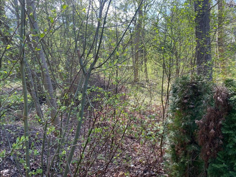 Property image number 6