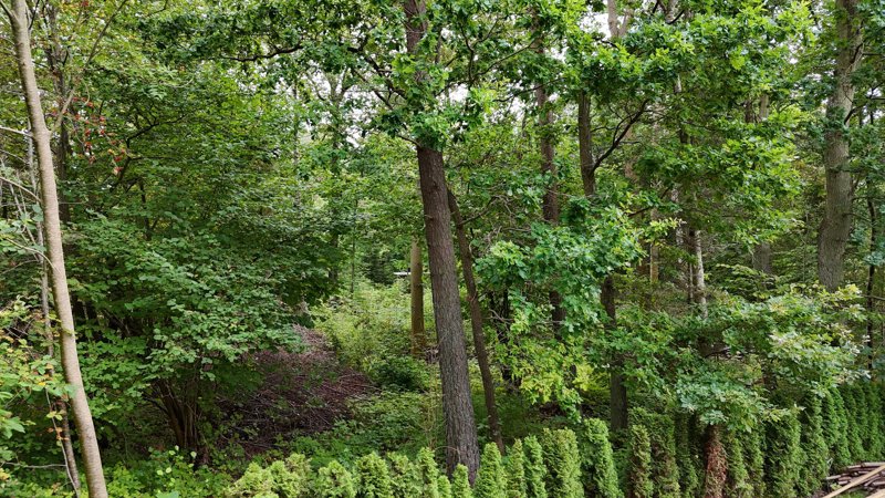 Property image number 4