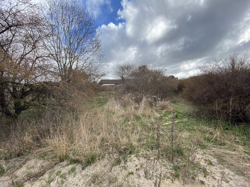 Property image number 2