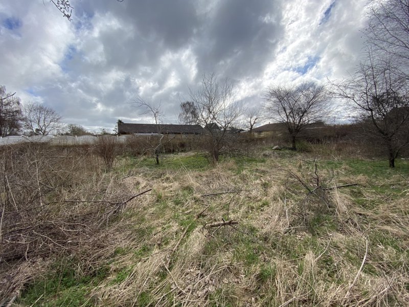 Property image number 4