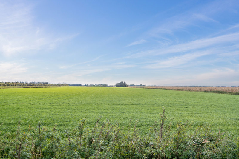 Property image number 5