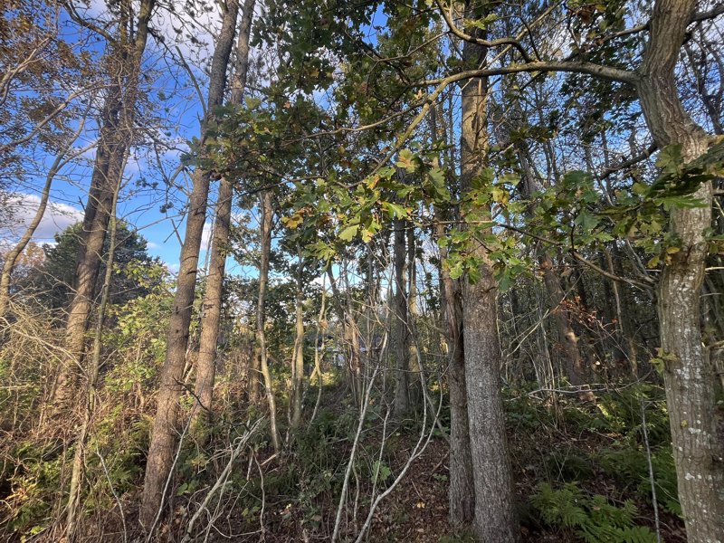 Property image number 5