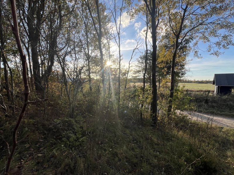 Property image number 2
