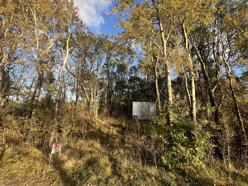 Property image number 1