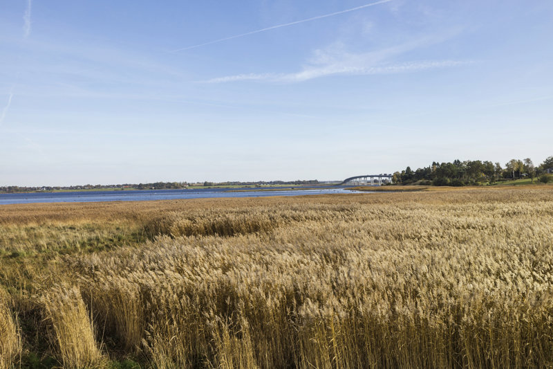 Property image number 5