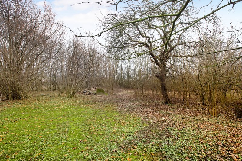 Property image number 4