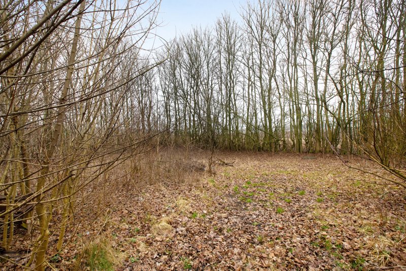 Property image number 5