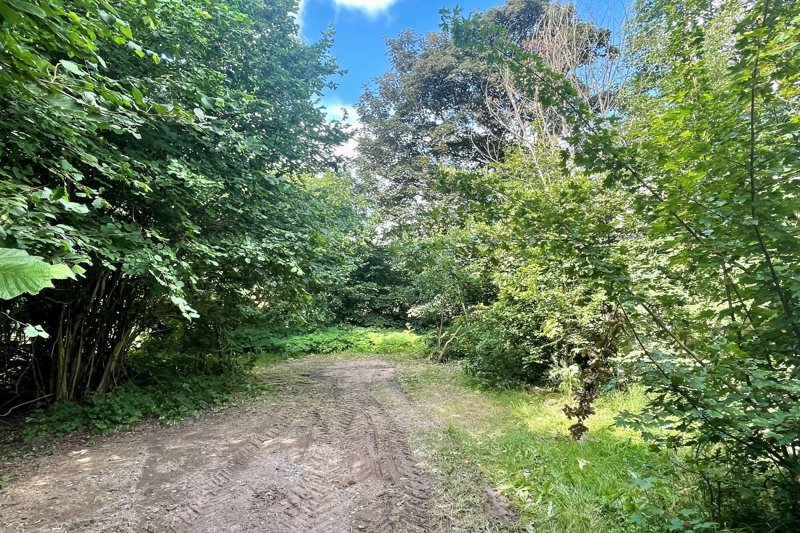 Property image number 3