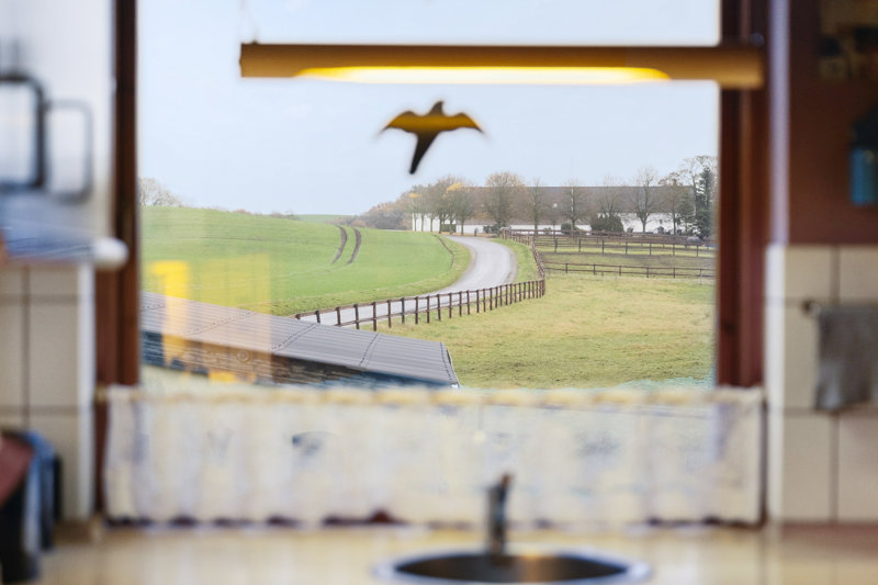Property image number 6