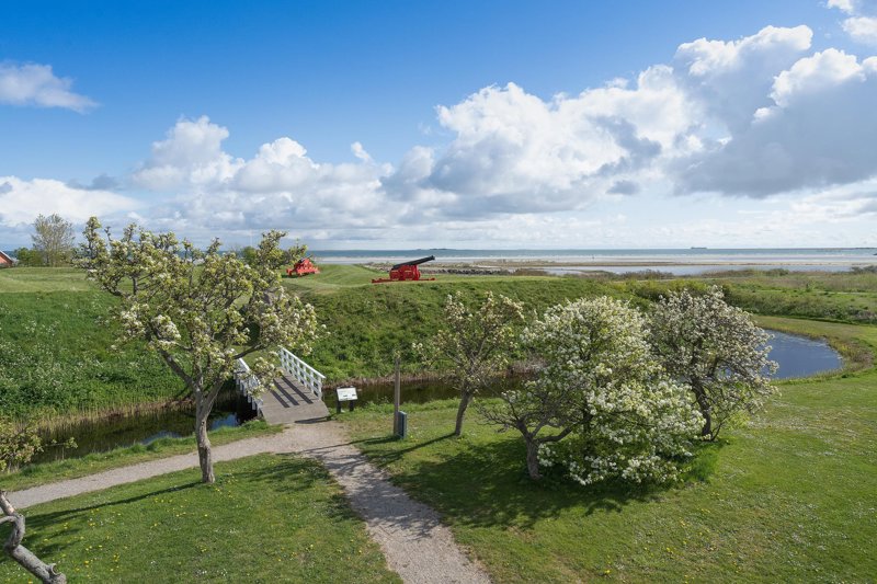 Property image number 6