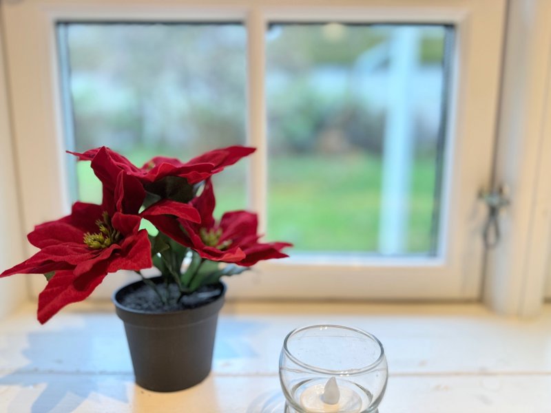Property image number 8