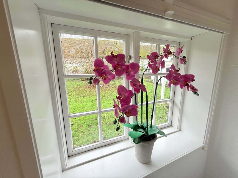 Property image number 6