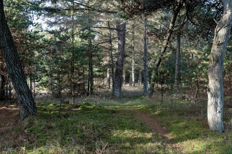 Property image number 8