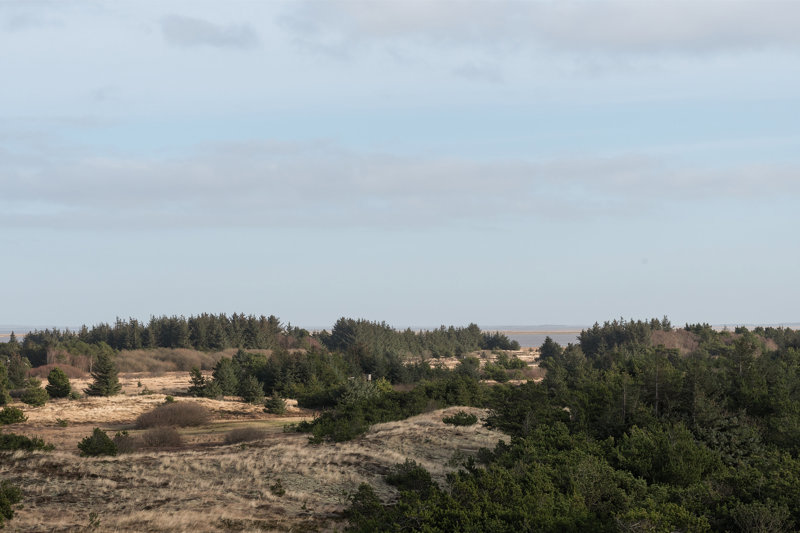 Property image number 5