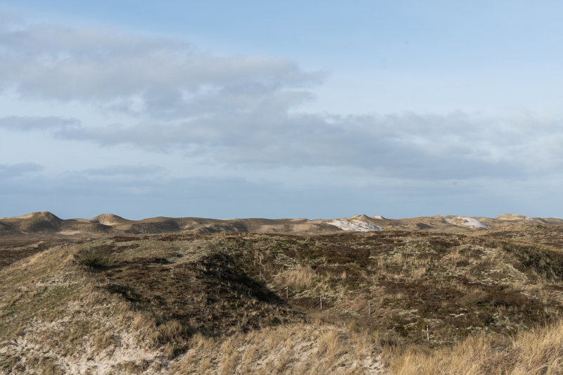 Property image number 7