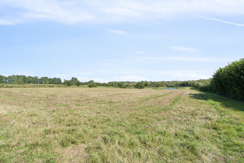 Property image number 5