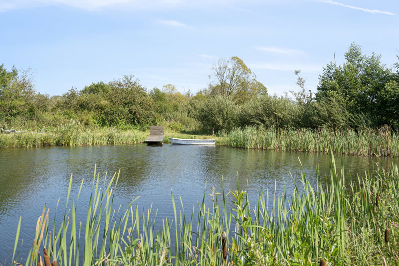 Property image number 6