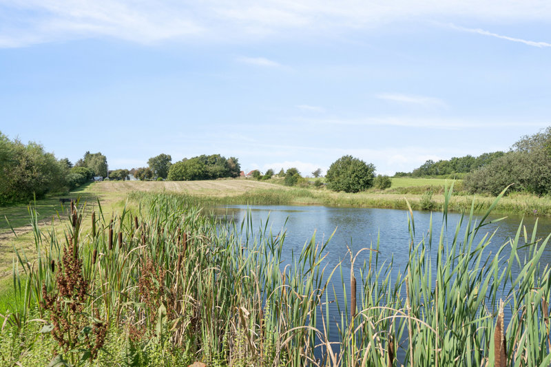 Property image number 8