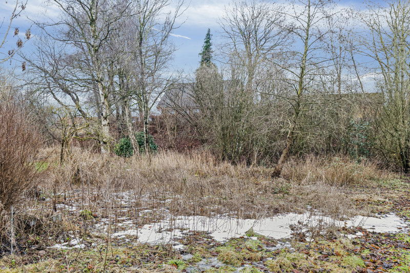 Property image number 4
