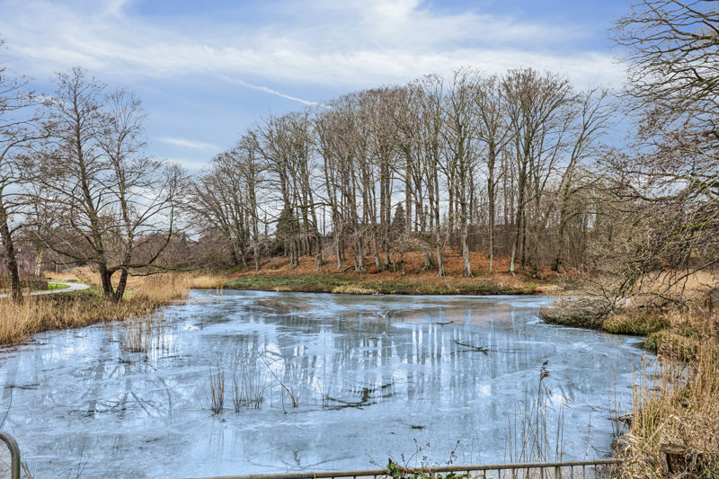 Property image number 6