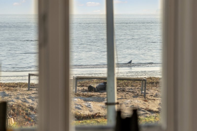 Property image number 4