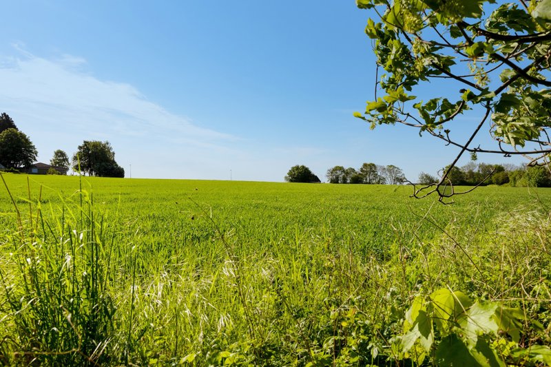 Property image number 2