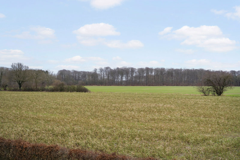 Property image number 7