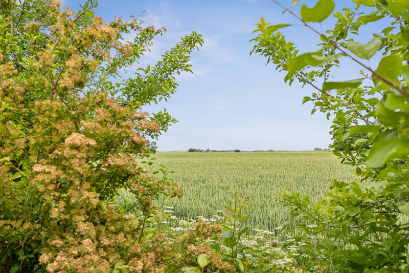 Property image number 6