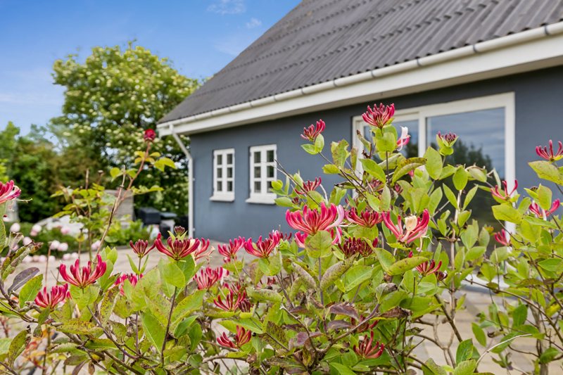 Property image number 3