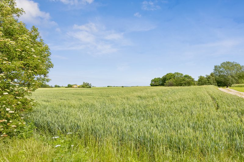 Property image number 8