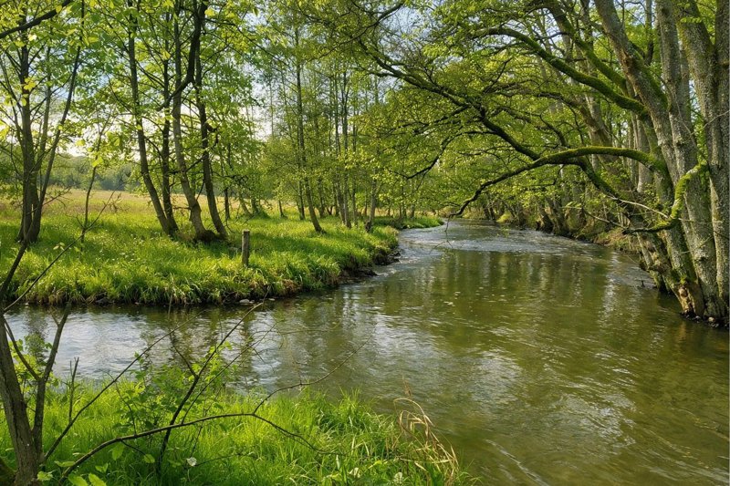 Property image number 7