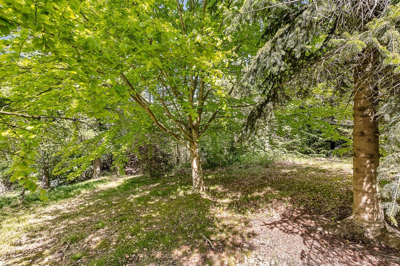 Property image number 6