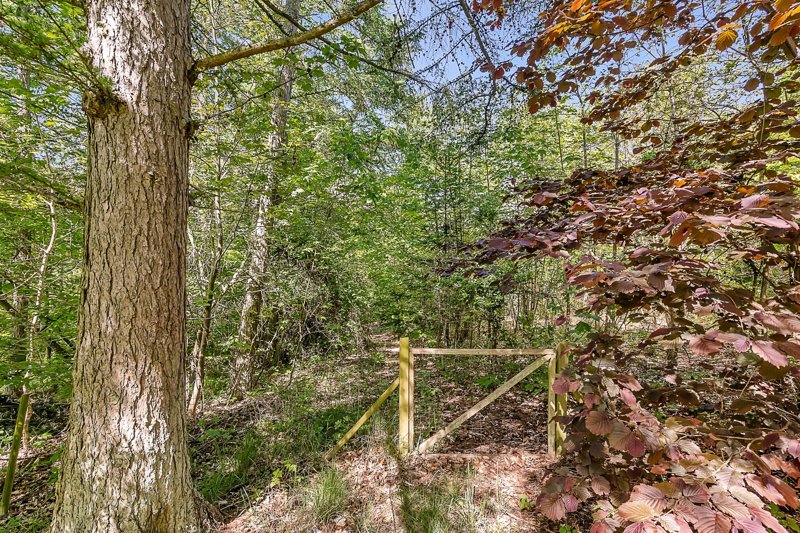 Property image number 7