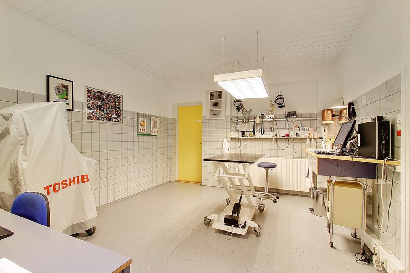 Property image number 11