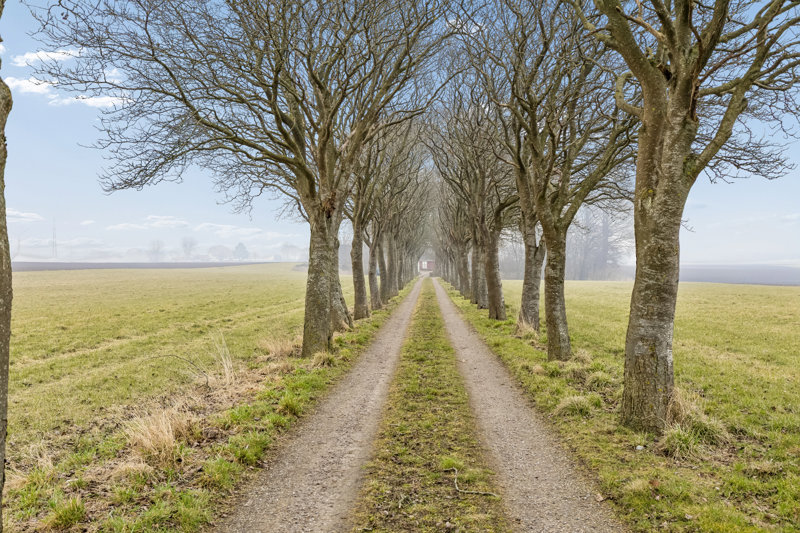 Property image number 3