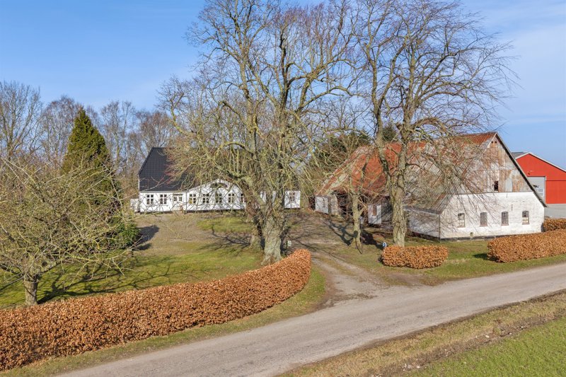 Property image number 6