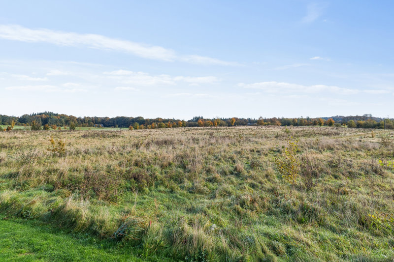 Property image number 6