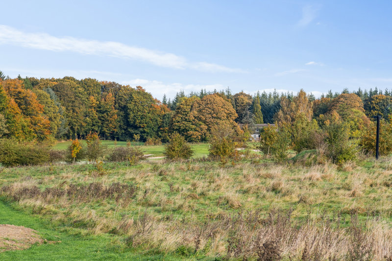 Property image number 3