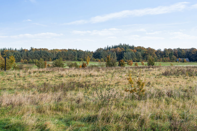 Property image number 4