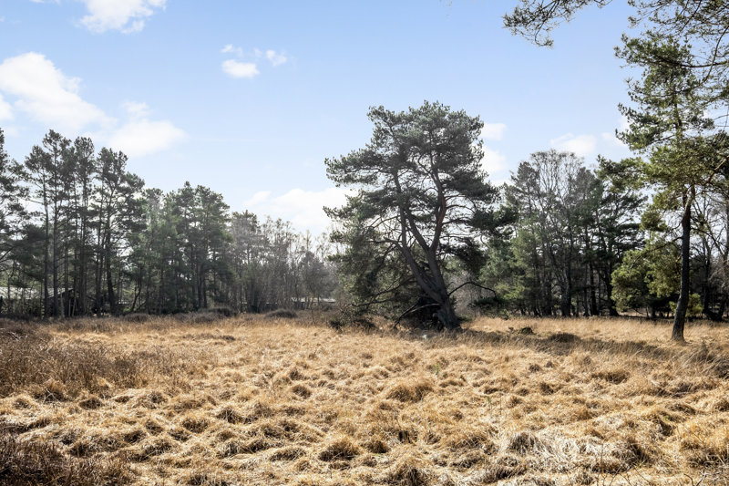 Property image number 5