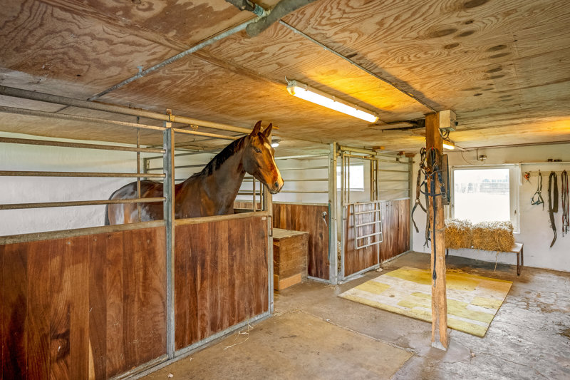 Property image number 3