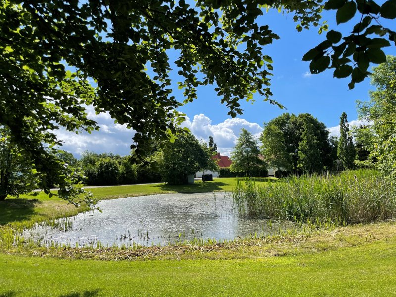 Property image number 4